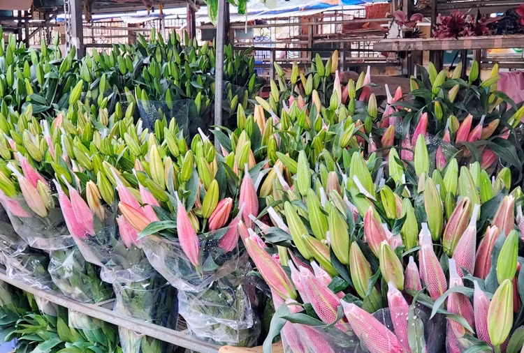 Tại chợ hoa Quảng Bá (Hà Nội), một bó hoa ly vàng thơm, bông to, có từ 6-9 tai đang độ đẹp, hay hoa ly đỏ bông to được bán mức giá 100 nghìn đồng/bó 10 cành.