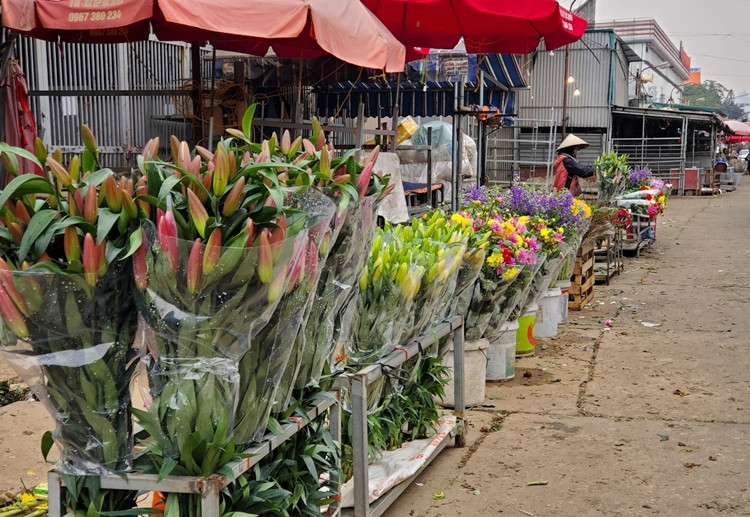 Trước Tết Nguyên đán, hoa ly loại 1 được bán với mức giá từ 25 nghìn đồng - 40 nghìn đồng/cành. Tuy nhiên, mặt hàng này sau Tết (từ mùng 5 Tết) lại rớt giá thê thảm, giảm mạnh xuống chỉ còn 80 - 100 nghìn đồng/bó (10 cành).