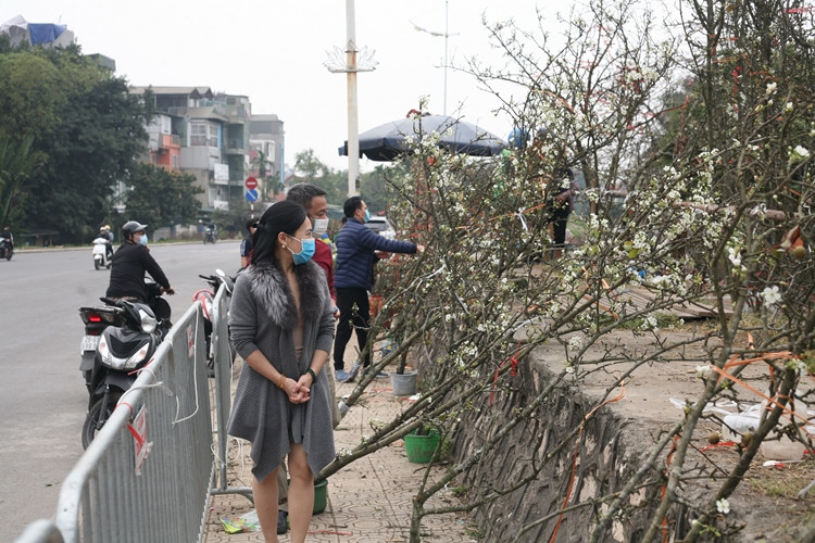 Nhiều lượt khách đến xem và hỏi mua lê trắng dọc con phố đê Âu Cơ.