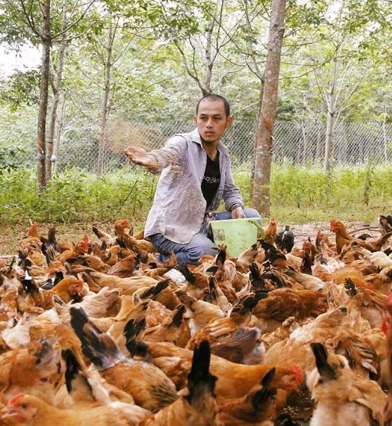 Ngay an moi, toi leo cay: Dac pham tien Vua tram nam tuoi vung ‘Dat lua’-Hinh-3