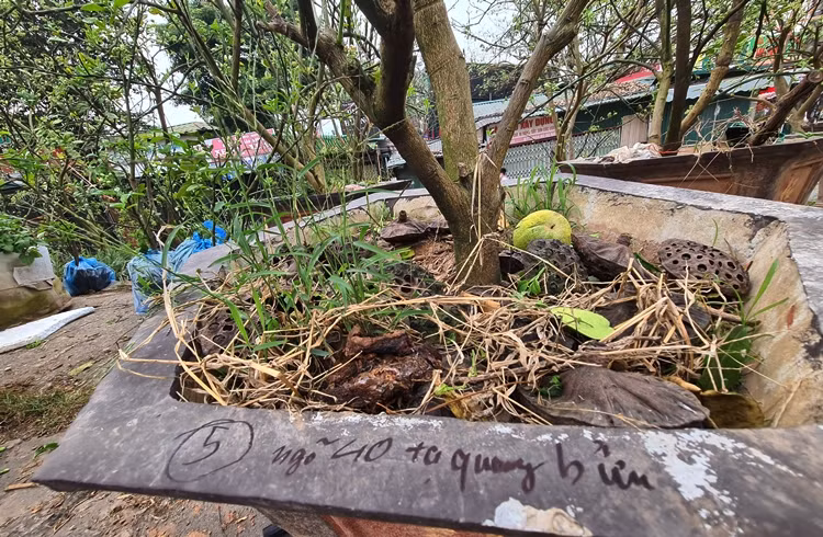 Theo nhu cầu của khách hàng, người bán sẵn sàng chở cây đến các địa chỉ mà khách đã cung cấp.