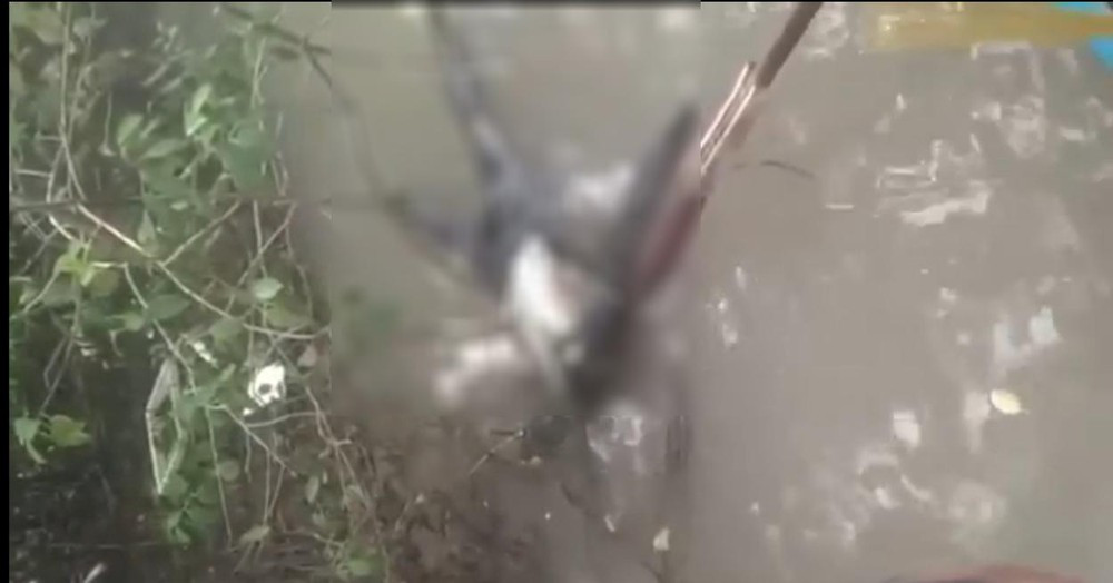 Phat hien thi the khong dau troi tren song o Ca Mau