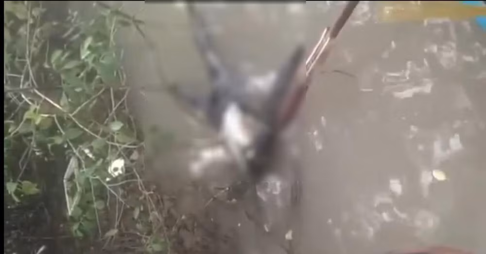 Phat hien thi the khong dau troi tren song o Ca Mau