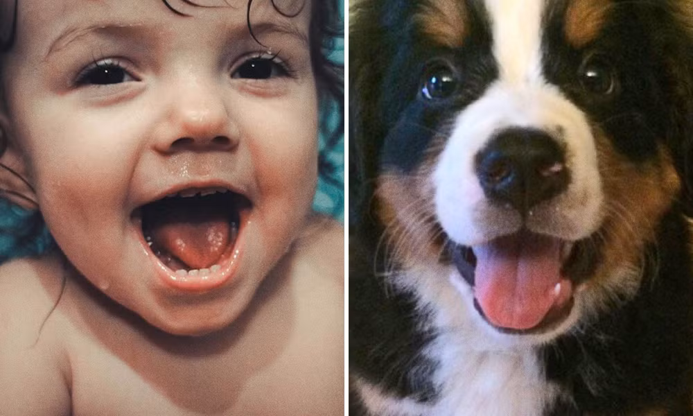 Nhiều biểu cảm của bé được đem ra so sánh với động vật và chúng có sự tương đồng đáng ngạc nhiên. Ảnh: Brightside.