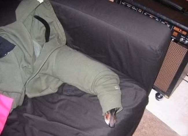 Giấu đuôi thì lại hở... mõm.