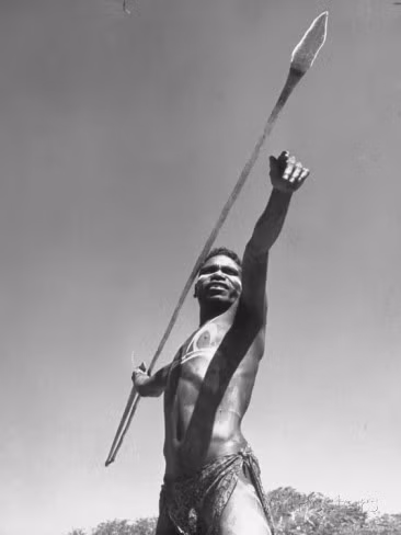 Lưỡi giáo của thổ dân châu Phi có phần đặc biệt vì được chia làm hai khúc, có tác dụng tăng tầm ném xa giúp họ giữ được khoảng cách với mục tiêu. Ảnh: Trinity.