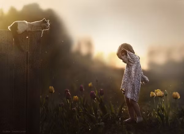 Bé và chú mèo đáng yêu. Ảnh: Elena Shumilova.