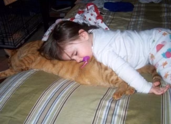 Các em bé rất thích chơi với động vật và coi chúng như một người bạn thân thiết của mình kể cả trong khi ngủ.