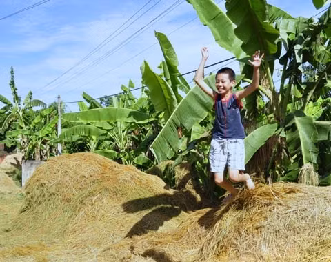 Một em nhỏ nhảy từ đống rơm này qua đống rơm khác với khuôn mặt rất háo hức. Ảnh: Tienphong.