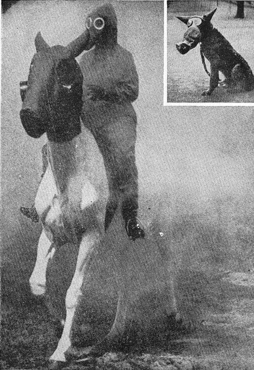 Ngay cả ngựa và chó cũng có mặt nạ phòng độc được thiết kế riêng. Ảnh: Fbww1.