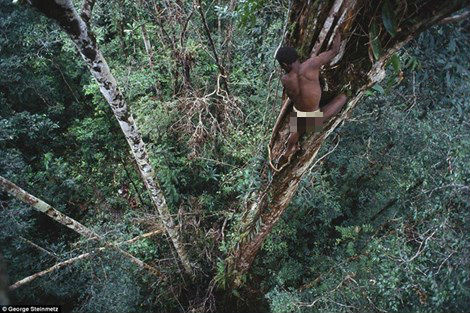 Một trong số đó là kỹ năng leo trèo tuyệt đỉnh và khả năng làm nhà trên cây cao. Ảnh: 123rf.