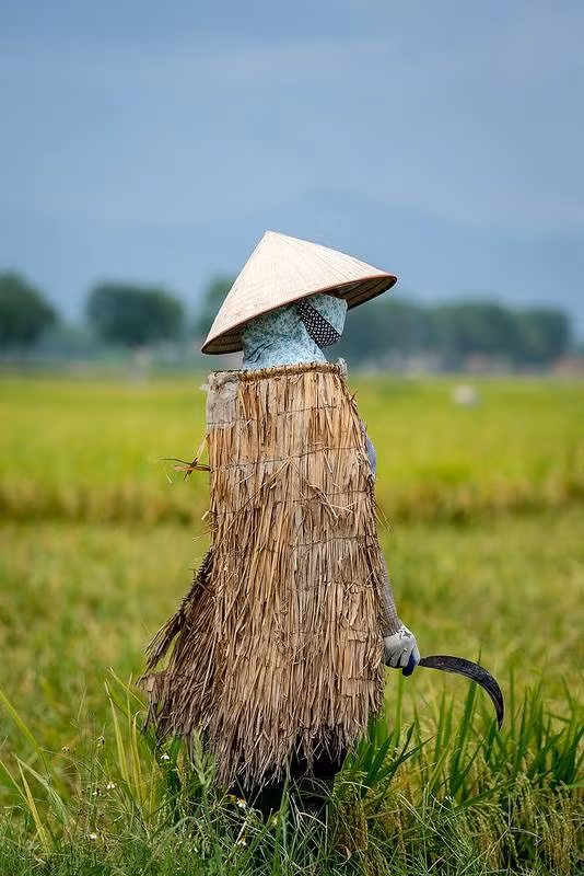 Những chiếc áo tơi, dù hiếm có nhưng vẫn có thể bắt gặp ở một số vùng quê miền Trung nước ta, thậm chí có những làng nghề làm áo tơi truyền thống tại Hà Tĩnh vẫn còn hoạt động. Ảnh: Hanoispanorama skylinegallery.