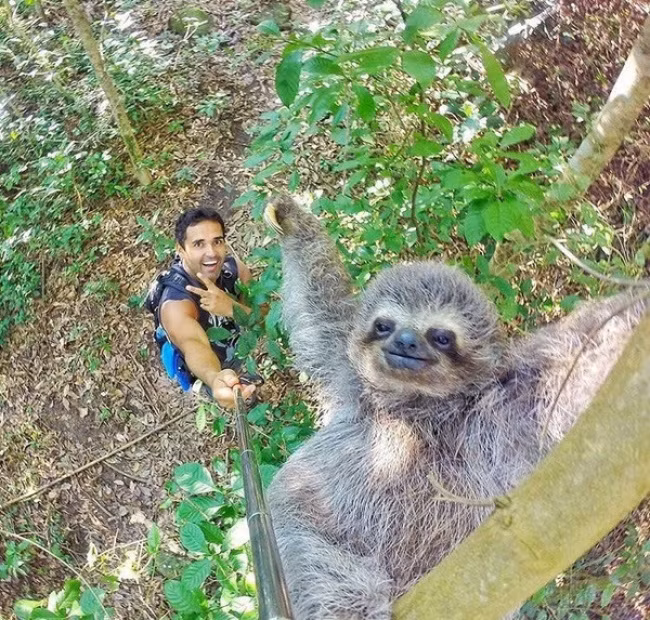 Một trong những kiểu " tự sướng" độc đáo được nhiều like nhất trên mạng xã hội năm 2016. Ảnh: Brightside.