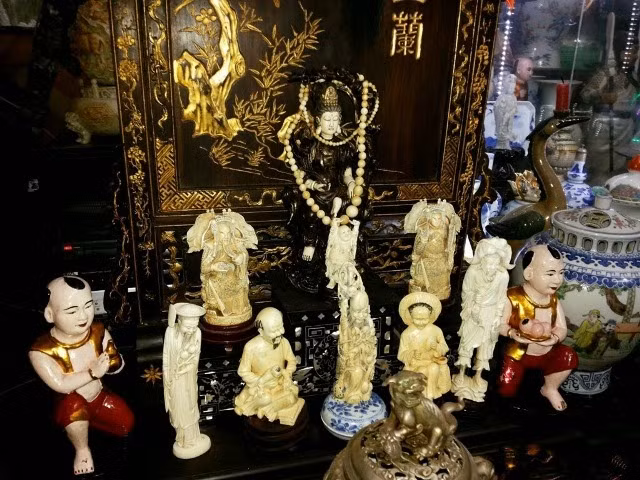 Mặc dù vậy giá trị lớn nhất những con voi này mang lại cho chủ nhân của chúng chính là ngà voi.