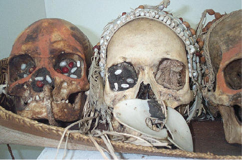 Những hộp sọ của các nạn nhân xấu số sau đó sẽ được trưng bày như một món đồ trang trí trong những căn nhà của người Korowai. Ảnh: Beforethey.
