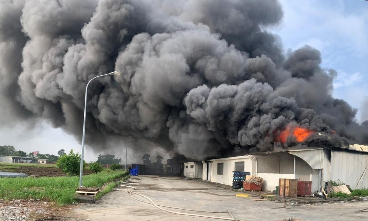 Xác minh lao động Việt Nam trong vụ cháy nổ công ty tại Đài Loan Xac minh lao dong Viet Nam trong vu chay no cong ty tai Dai Loan