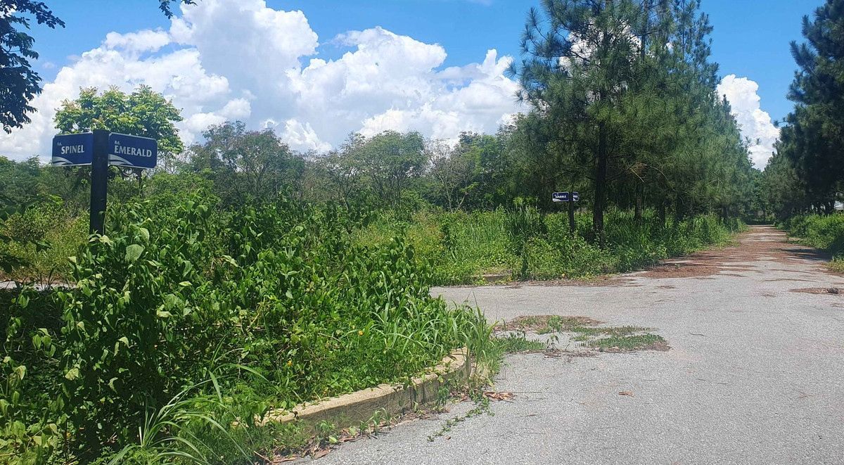 Đường giao thông, cây xanh được đầu tư bài bản nhưng sau đó bỏ hoang nhiều năm. (Ảnh: Lê Lâm).