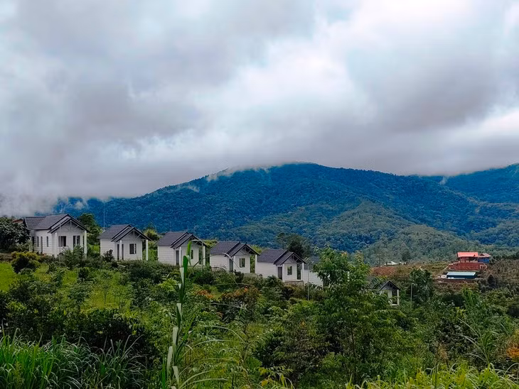 Kon Tum: Xe nui, bat doi lam homestay trai phep-Hinh-4