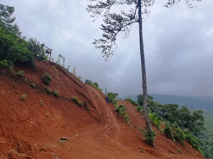 Kon Tum: Xe nui, bat doi lam homestay trai phep-Hinh-2