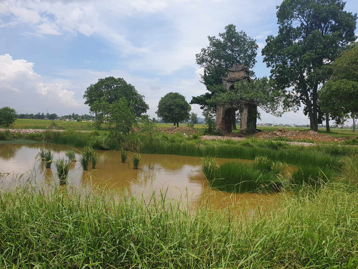 Xung quanh cổng đền được bao phủ khá nhiều cây cổ thụ, cao hàng chục mét. Ngoài ra tại đây còn có ao nước. (Ảnh: Thương Hiệu và Pháp luật).