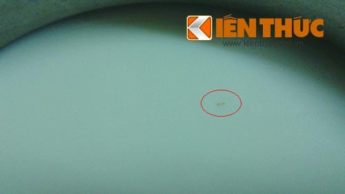 Sâu nổi lềnh bềnh trong sữa Grow School G-Power của Abbott? - Hình 2 Sau noi lenh benh trong sua Grow School G-Power cua Abbott?-Hinh-2