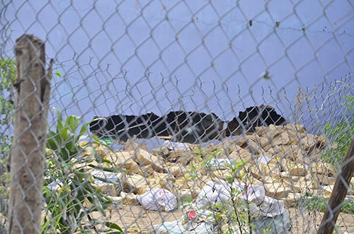 Sap gac lung nha xuong tai TP HCM, nhieu nguoi thuong vong