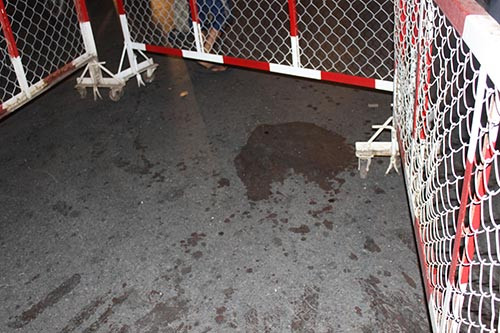 Hai cô gái trẻ lạnh lùng đâm chết nam thanh niên giữa phố Sài Gòn - Hình 2 Hai co gai tre lanh lung dam chet nam thanh nien giua pho Sai Gon-Hinh-2