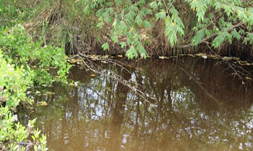 Mau thuan me chong, con dau giet chau ngoai nem xac xuong ao