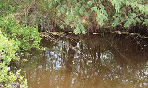 Mau thuan me chong, con dau giet chau ngoai nem xac xuong ao