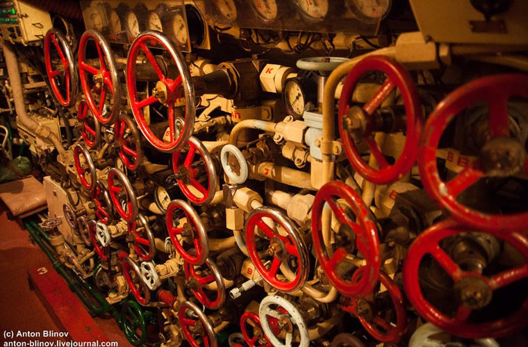 Chi chít các van mở nằm ở khắp nơi.