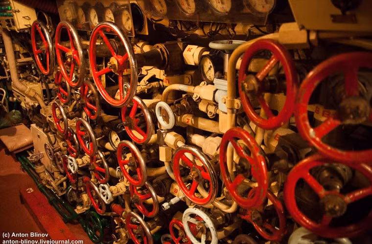 Chi chít các van mở nằm ở khắp nơi.