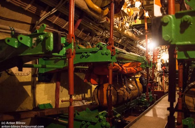 Tàu ngầm có thể mang 22 quả ngư lôi, thủy lôi, 4 tên lửa vác vai và vũ khí cá nhân cho thủy thủ.