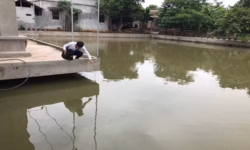 Vu 4 nguoi chet o ao lang: Vo nghi chong dua chau di cap cuu