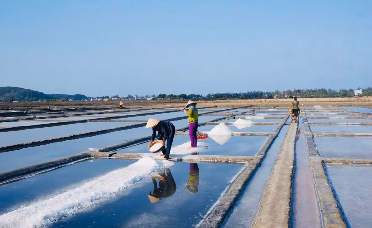 Nghe lam muoi Sa Huynh chinh thuc la di san phi vat the QG