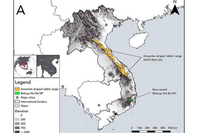Sách Đỏ IUCN (Liên minh Bảo tồn Thiên nhiên Quốc tế) cho thấy, loài thỏ vằn Trường Sơn là loài động vật cực kỳ quý hiếm trên thế giới, chỉ có tại dãy Trường Sơn. Chúng phân bố dọc theo biên giới Việt - Lào ở phía bắc và trung của dãy Trường Sơn, từ Vườn Quốc Gia Pù Mát (thuộc tỉnh Nghệ An) đến Vườn quốc gia Phong Nha-Kẻ Bàng (Quảng Bình). Ảnh: IUCN