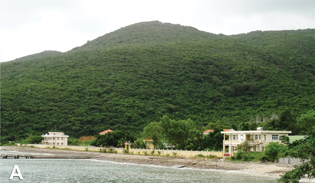 Các nhà khoa học nhận định rắn hổ nước Adler là loài đặc hữu, chỉ sống trên đảo Hòn Tre của tỉnh Khánh Hòa, ở độ cao 30m so với mực nước biển. Trên ảnh là Trạm nghiên cứu Đầm Bay, khu vực phát hiện ra cá thể đầu tiên của loài rắn mới này. Ảnh: Nhóm nghiên cứu/Herpetozoa