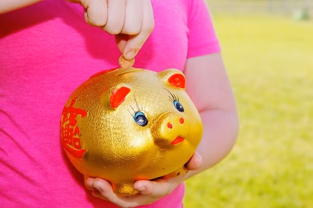 Tại châu Âu và một số vùng châu Á, lợn đại diện cho sự giàu có, thịnh vượng. Vì vậy, những chú lợn làm từ đất sét được sử dụng để giữ tiền, đem lại may mắn cho gia chủ.