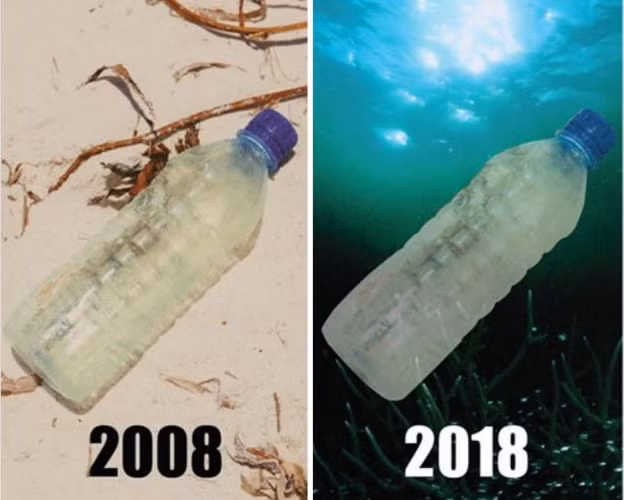 Chai nước bằng nhựa năm 2008 và năm 2018 hầu như không có gì thay đổi. Những đồ vật làm từ nhựa có thể mất hàng trăm năm mới có thể phân hủy được và chúng đang đe dọa trực tiếp đến môi trường cũng như cuộc sống của nhiều loài động vật.