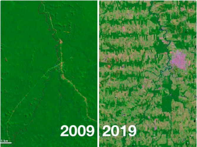 Những khoảng màu xanh rộng lớn của rừng Amazon đang dần biến mất chỉ trong vòng 1 thập kỷ.