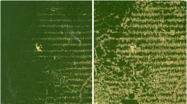 Hình ảnh khu vực Rondonia ở Brazil năm 2006 và năm 2018 với những màu sắc khác nhau đã phản ảnh một thực tế đau lòng về môi trường nơi đây. Rondonia với 200.000 km rừng bao phủ nay đã trở thành một trong những khu vực bị chặt phá rừng nghiêm trọng nhất tại Amazon.