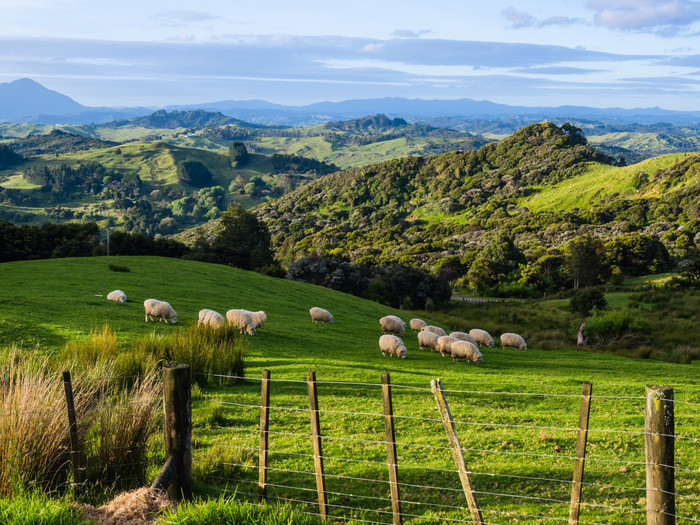 11. New Zealand - Điểm số: 71,12