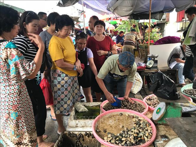 Nguoi Viet o Indonesia di tim khong khi Tet que nha-Hinh-3