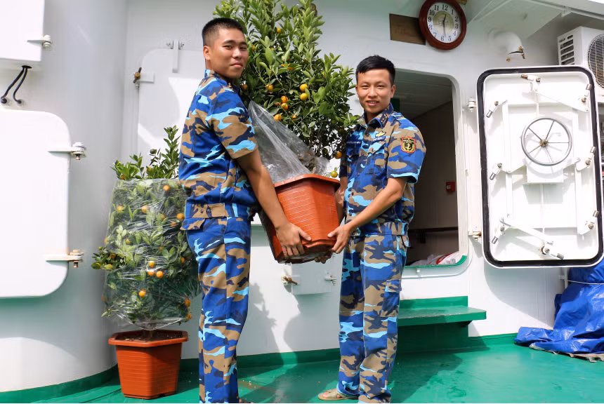 Quất cho ngày tết ở Trường Sa.