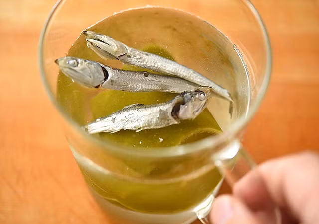 Meo "chua chay" do an khi qua man don gian den bat ngo-Hinh-3