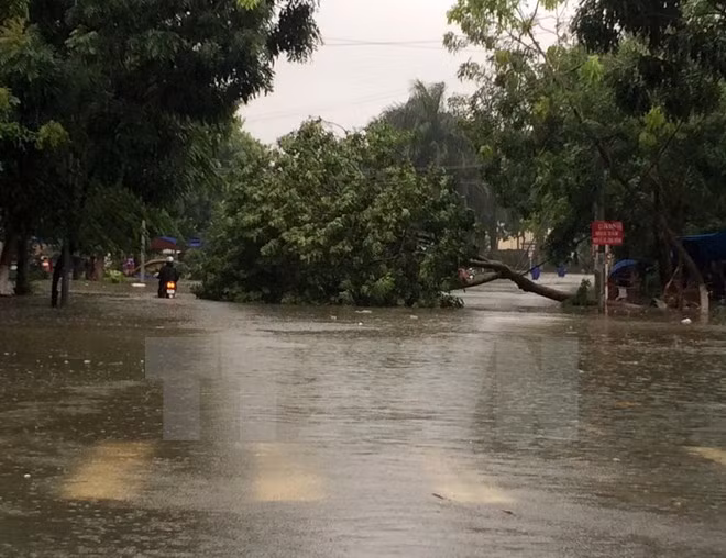 Khong khi lanh tang cuong, cac tinh tu Nghe An den Quang Nam mua to