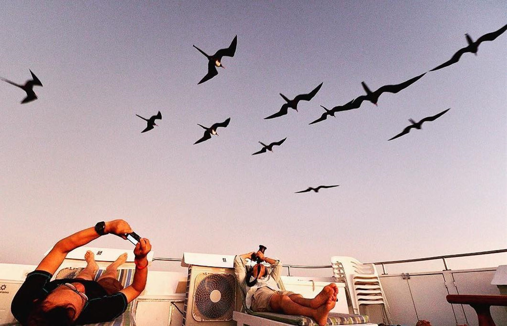 Ðể thưởng ngoạn cảnh thiên nhiên hùng vĩ, du khách có thể tham gia các chuyến du lịch bằng tàu biển với rất nhiều sự lựa chọn từ các thuyền nhỏ, đơn giản, có sức chứa từ 6-8 người đến các tàu biển loại lớn, có sức chứa đến 100 người. Ảnh: Samsonso_photography.