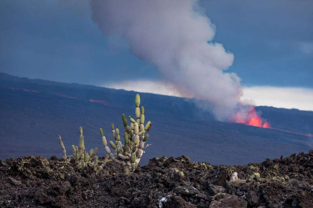 Không chỉ có thiên nhiên nguyên sơ, động vật hoang dã, Galapagos còn hùng vĩ với nhiều núi lửa đang hoạt động. Ảnh: Getty.