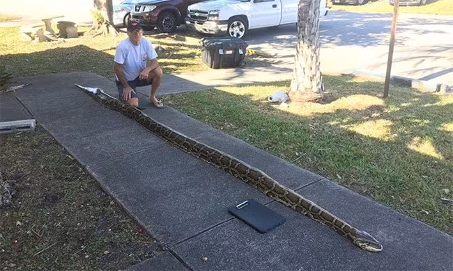 Tran Mien Dien de doa 