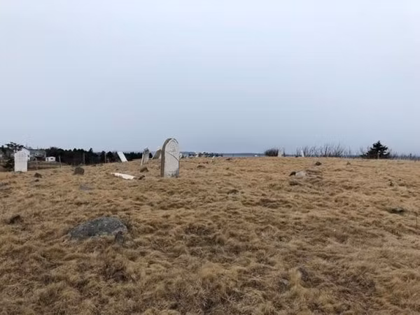 Ron toc gay ke trom bo xuong nguoi 100 nam tuoi... nau nuoc uong-Hinh-2