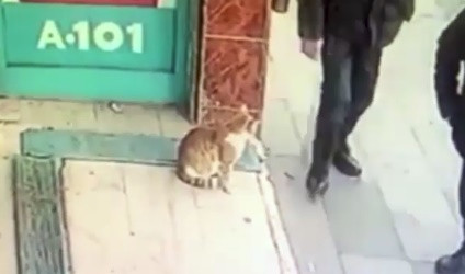 Ky quac con meo chi tan cong dan ong, tha cho phu nu